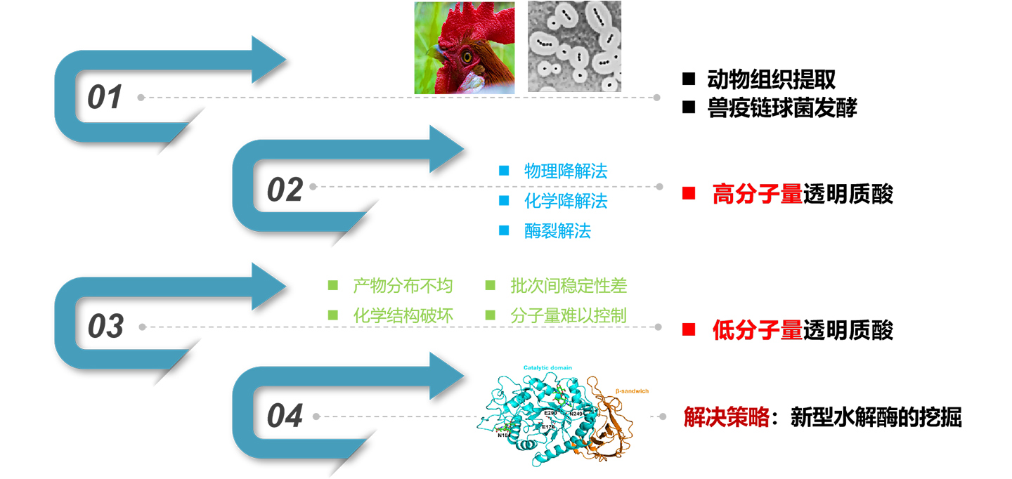 2721682039986571.jpg 图片1.jpg