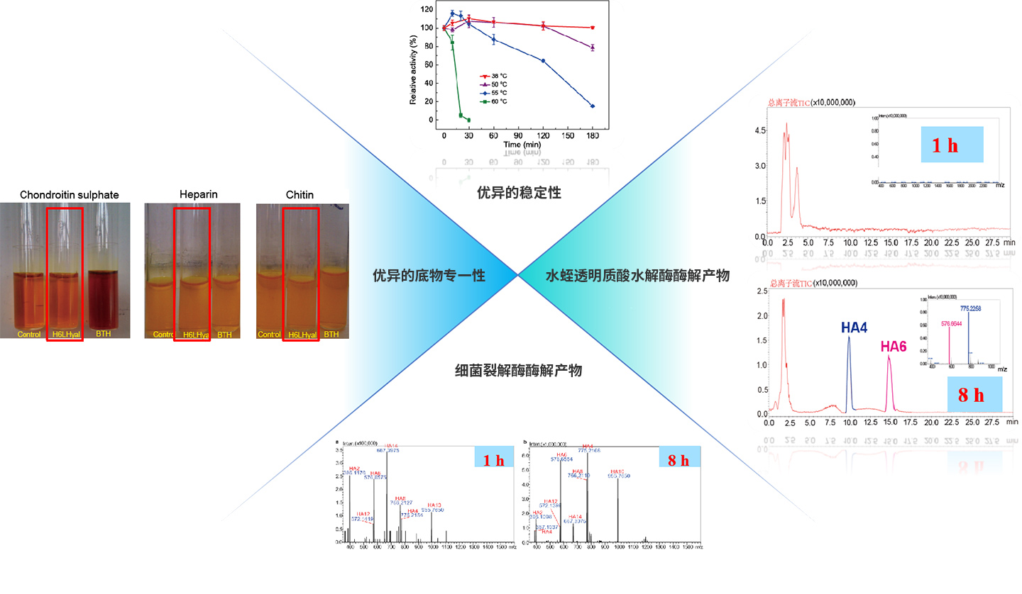 7001681896734800.jpg 图片9.jpg