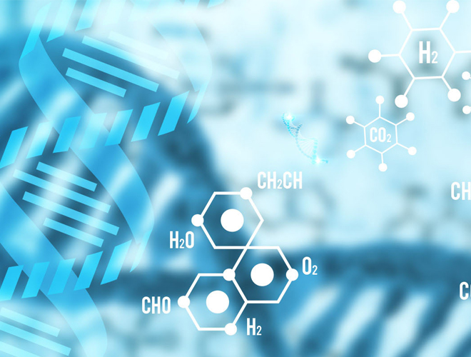 寡聚透明质酸 寡聚透明质酸
